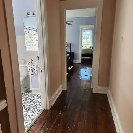 Apartment Mid-city Palm Trees House Furnished New Orleans