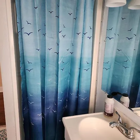 Mid-city Palm Trees House Furnished