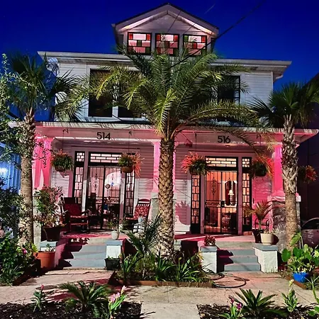 Mid-city Palm Trees House Furnished