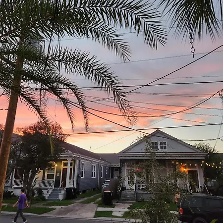 Mid-city Palm Trees House Furnished Apartment New Orleans