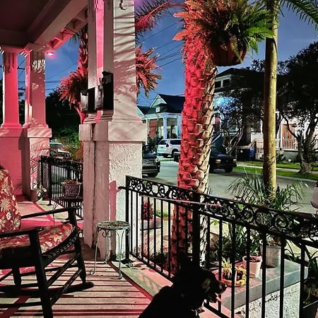 Mid-city Palm Trees House Furnished Apartment New Orleans