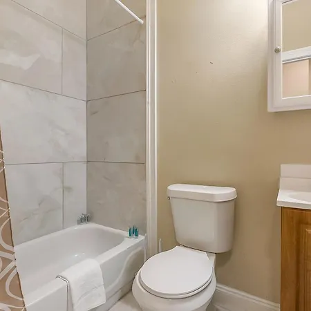 Apartment Spacious In Downtown Nola New Orleans