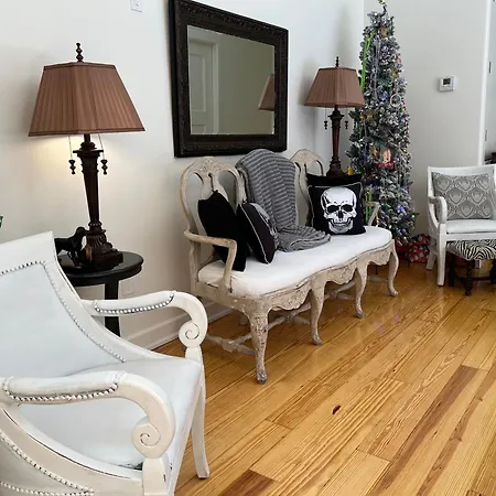 Apartment Entire W/ Party Rooftop - A Block Away From Parades *