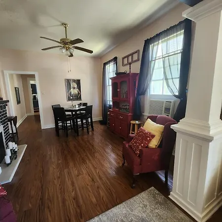 Apartment Mid-city Palm Trees House Furnished New Orleans