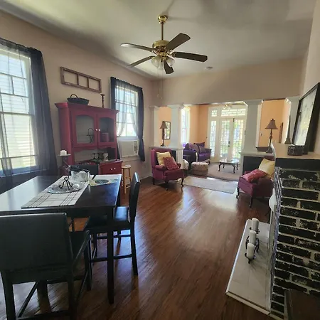 Mid-city Palm Trees House Furnished Apartment