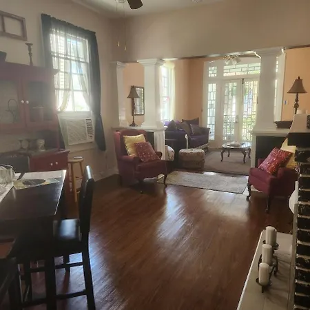 Mid-city Palm Trees House Furnished New Orleans