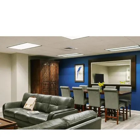 Gorgeous, Spacious Studio Near French Quarter Apartment