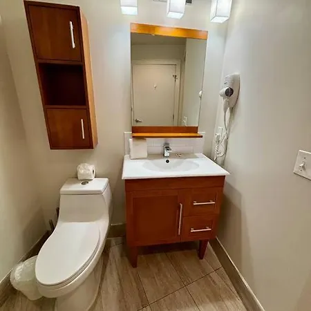 Apartment Gorgeous, Spacious Studio Near French Quarter New Orleans