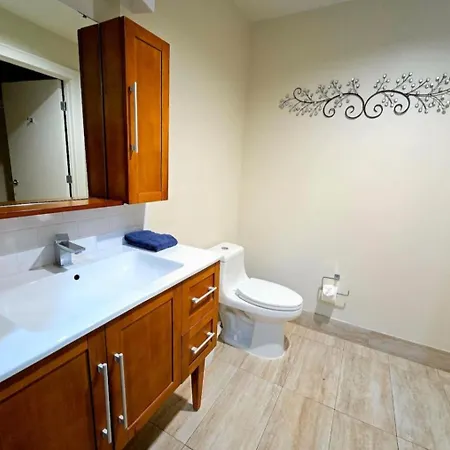 Apartment In The French Quarter With Rooftop Pool!