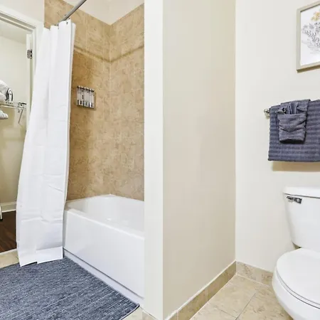 Elegant In Nola With Rooftop Pool *