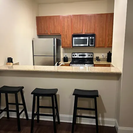 Farm stay 925 Common #1201 New Orleans