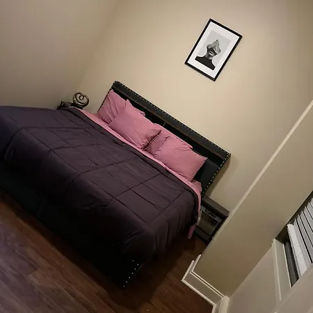 925 Common #1201 New Orleans