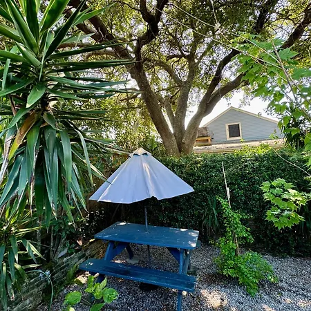 Apartment One Bedroom With Hot Tub 2 Blocks To Magazine Street New Orleans