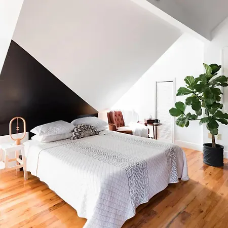Chic Spot Near The Lower French Quarter Apartment New Orleans