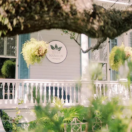 Bed & Breakfast The Sully Mansion *