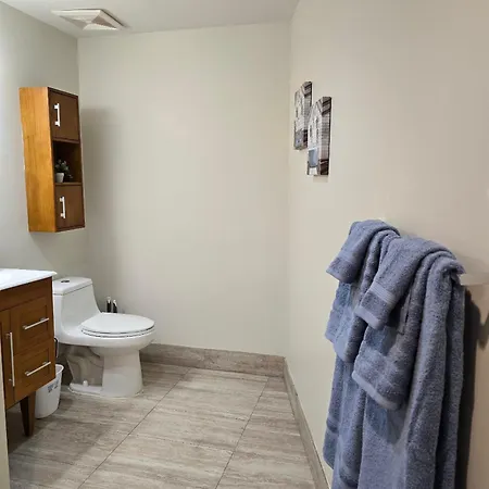 Legacy Steps From The French Quarter Superdome Casino Bourbon St With Gym & Pool