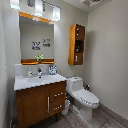 Apartment Legacy Steps From The French Quarter Superdome Casino Bourbon St With Gym & Pool New Orleans