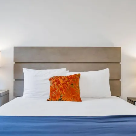Mid-city Muse W Pool -spacious 5br Minutes To Fq Hotel