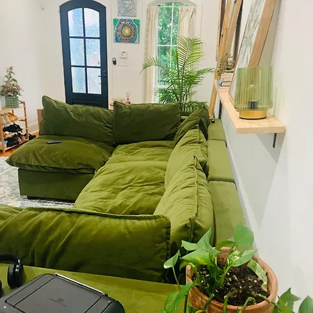 Homestay Cozy Plant House