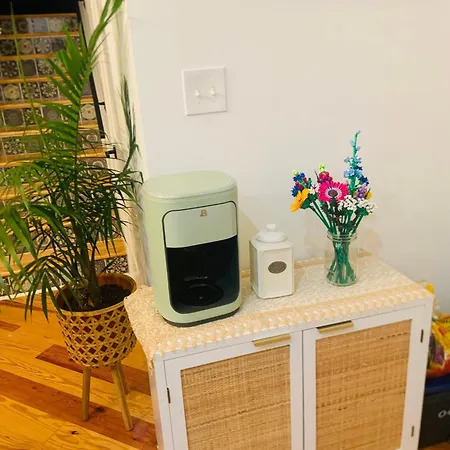 Homestay Cozy Plant House *