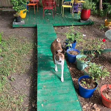 Garden View Apartment New Orleans