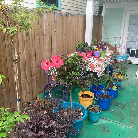 Garden View Apartment