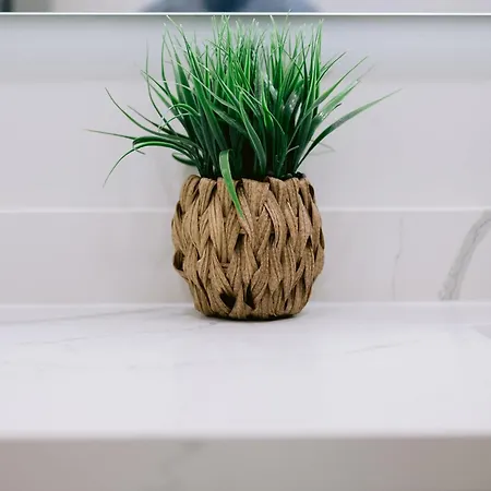 Magic Canal Apartment
