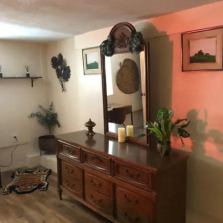 The Jungle Pad Apartment New Orleans