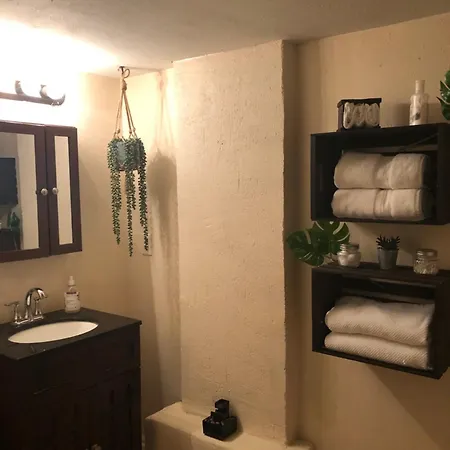 The Jungle Pad Apartment New Orleans