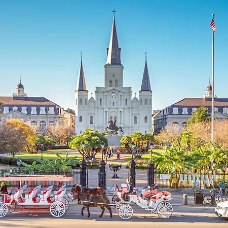 The Iconic Madden Cruiser Experience New Orleans