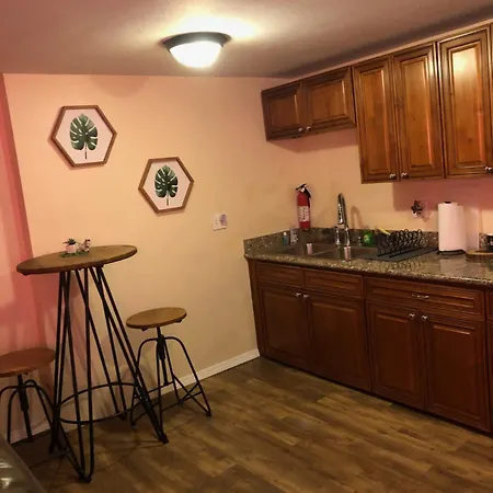 Jungle Theme Apartment