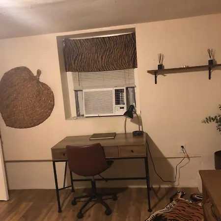 Apartment Jungle Theme *