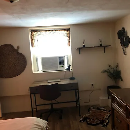Jungle Theme