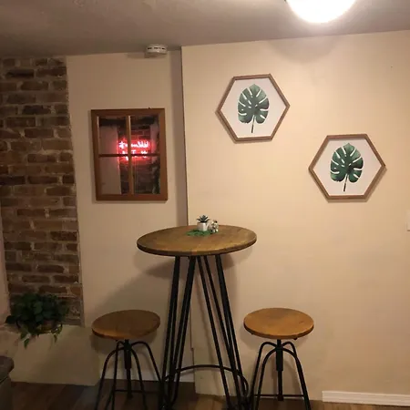 Apartment Jungle Theme New Orleans