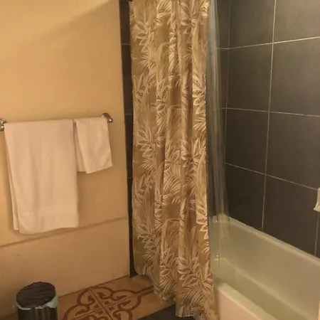 Apartment Jungle Theme