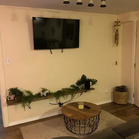 Apartment Jungle Theme