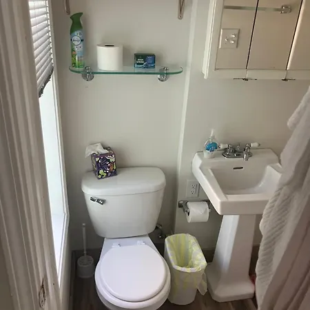 Garden View Apartment