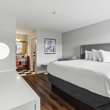 Hotel Maison Saint Charles New Orleans