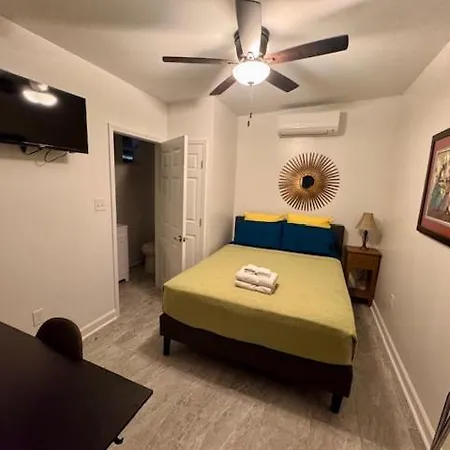 Apartment Charming Under Oak Tree 2 Mins Walk To Magazine Quiet Neighborhood New Orleans