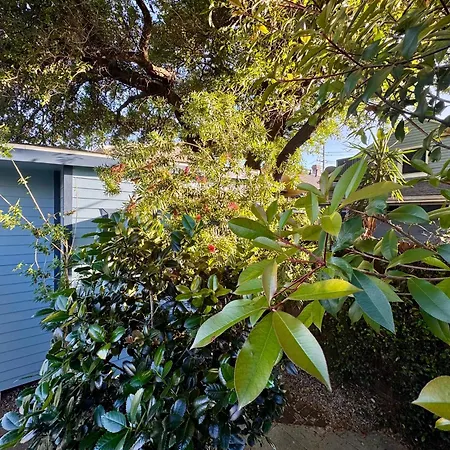 Charming Under Oak Tree 2 Mins Walk To Magazine Quiet Neighborhood Apartment New Orleans