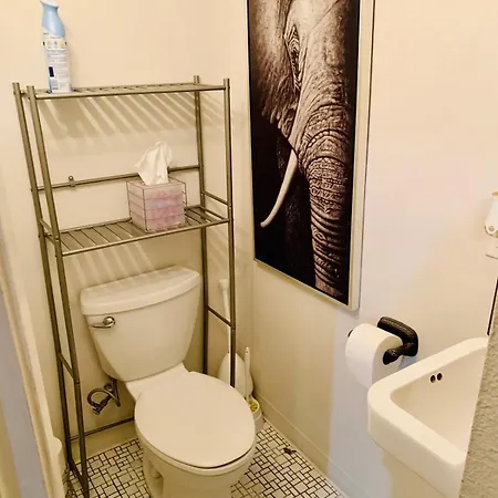 Apartment Hidden Jewel Btwn French Quarter & Frenchmen St *