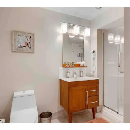 Apartment Beautiful Walk To French Quarter, Pool, Gym, View New Orleans