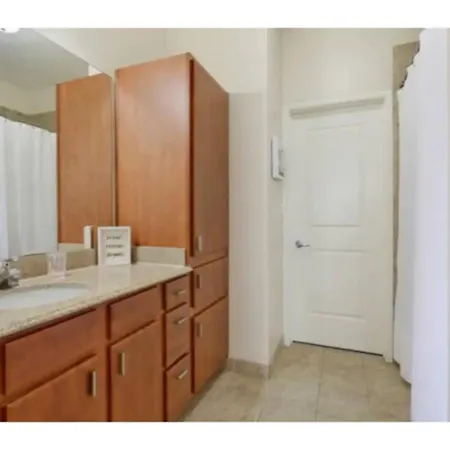 Beautiful Walk To French Quarter, Pool, Gym, View Apartment New Orleans