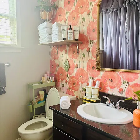 Charming Creole Near French Quarter Apartment New Orleans