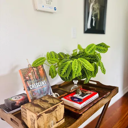 Apartment Charming Creole Near French Quarter