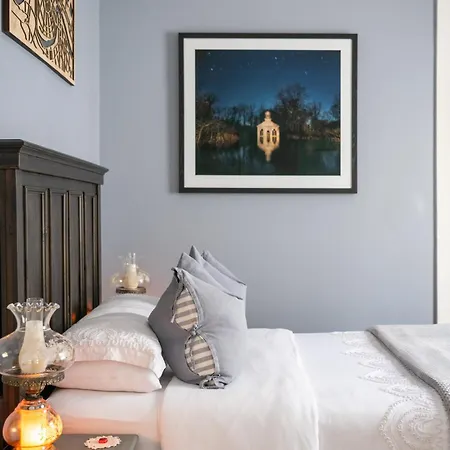 Luxury Historic Shotgun In Lower Garden District * New Orleans