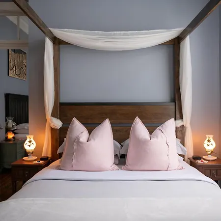 Luxury Historic Shotgun In Lower Garden District New Orleans