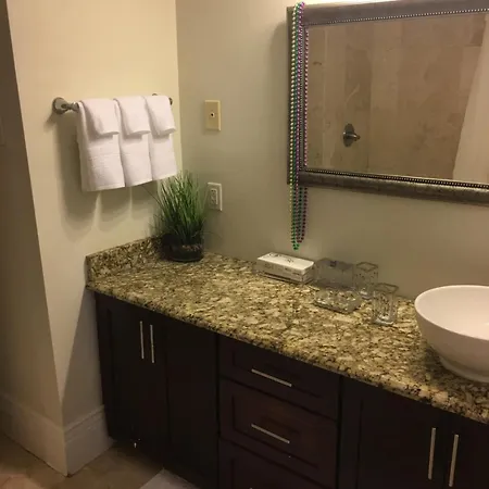 Spacious Napoleon Ave Mardi Gras Apartment *
