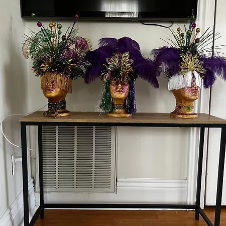 Spacious Napoleon Ave Mardi Gras * New Orleans