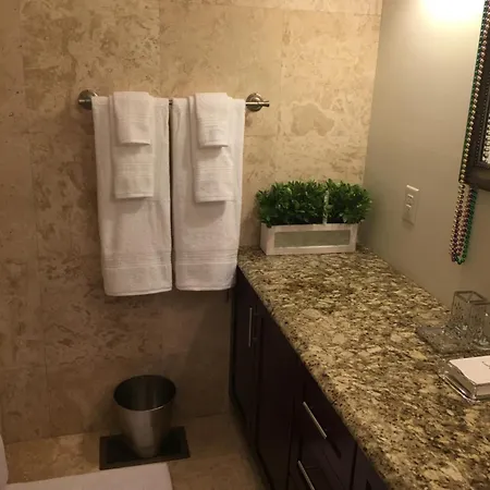 Spacious Napoleon Ave Mardi Gras Apartment